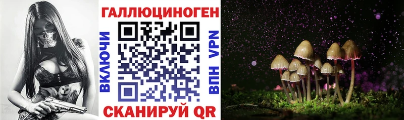 Псилоцибиновые грибы Psilocybe  Купить где  Сафоново 